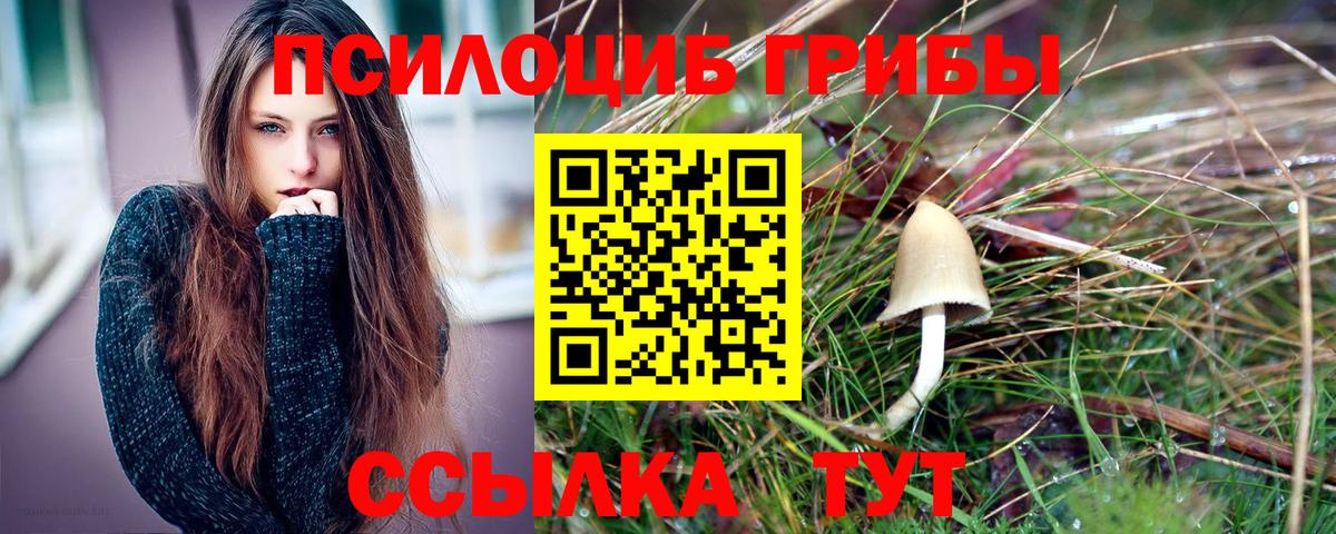 Галлюциногенные грибы Cubensis  Вход с VPN  Сунжа  Галлюциногенные грибы Cubensis 